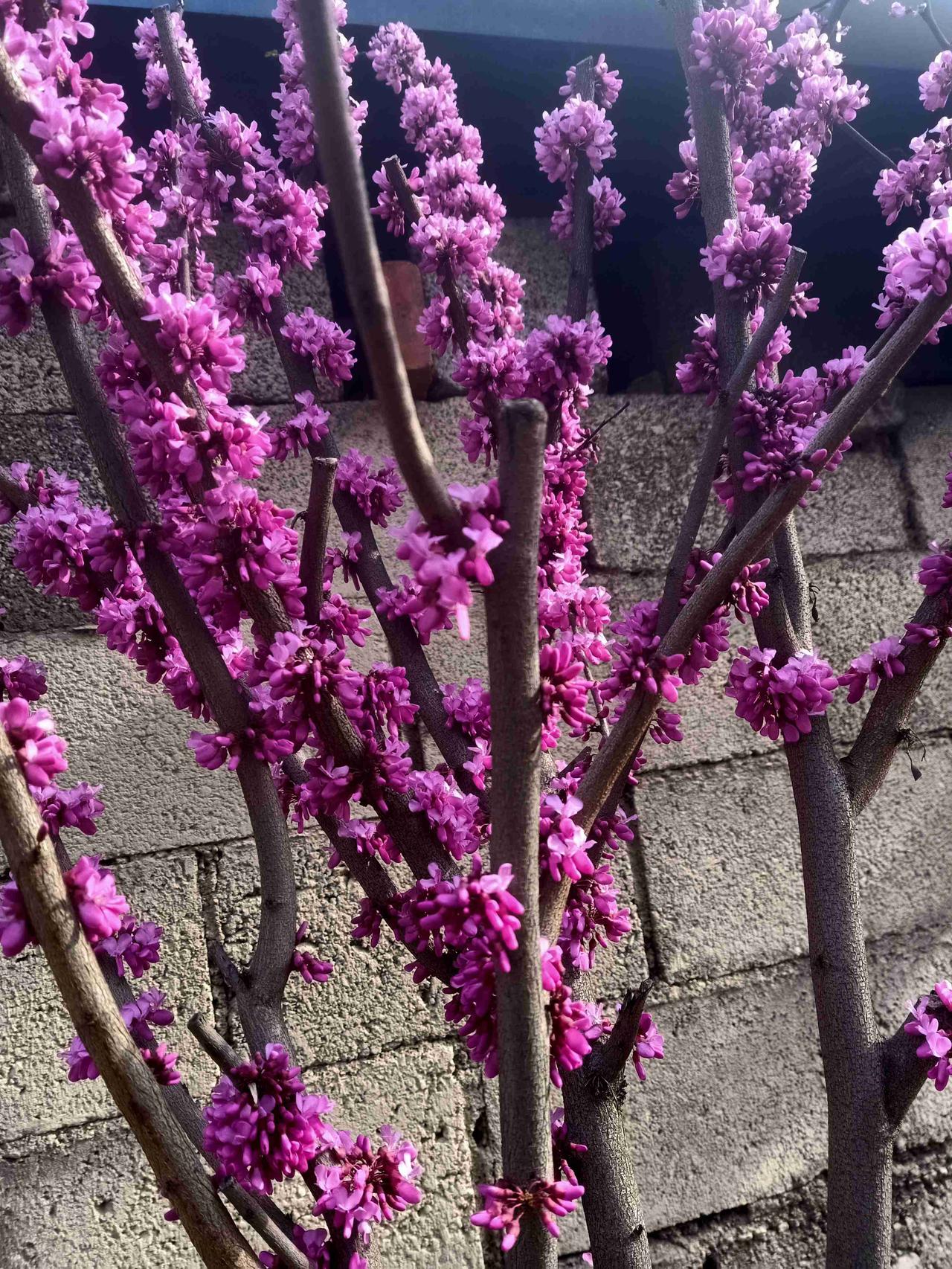 我的今日状态：🏃‍➡️运动
我这里的天气：🌤️多云