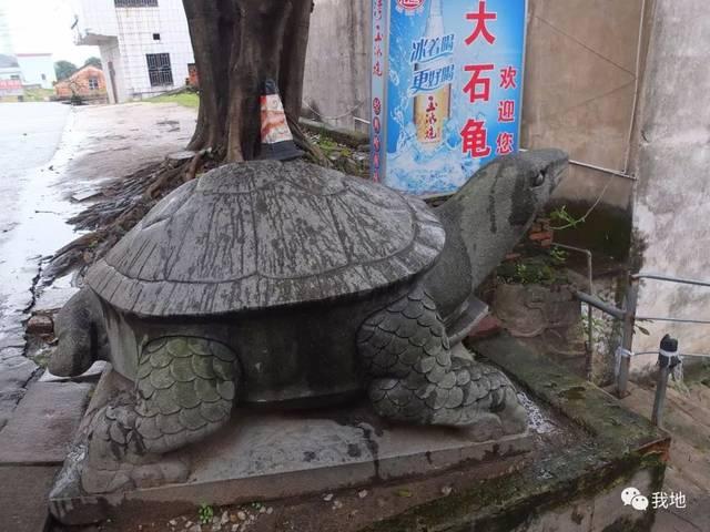 龙江左滩村的大石龟（玄武）！左滩堤围上的大石龟（玄武）（粤语俗称“石龟公”），是