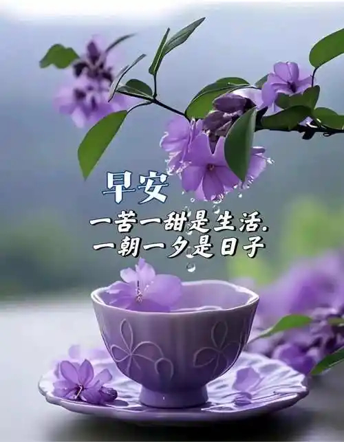 早安早安中国早安心语   不是每个人都能成为自己想要的样子，但每个人，都可以努力