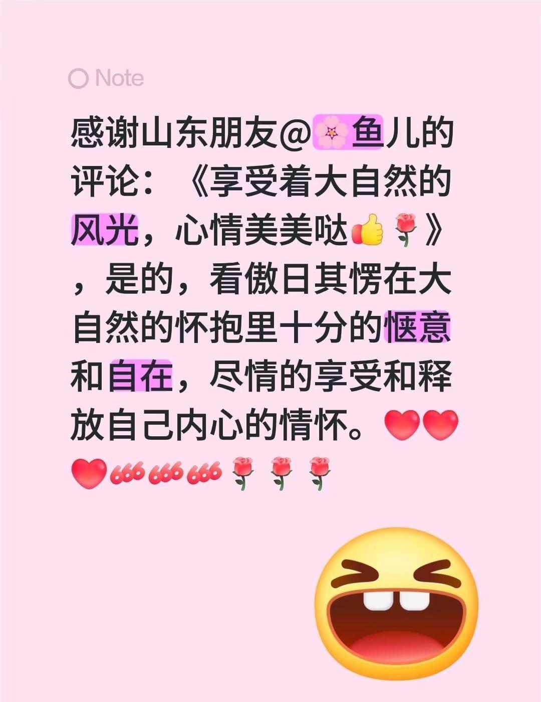 我回复了@🌸鱼儿 的评论：感谢山东朋友@🌸鱼儿的评论：《享受着大自然的风光，
