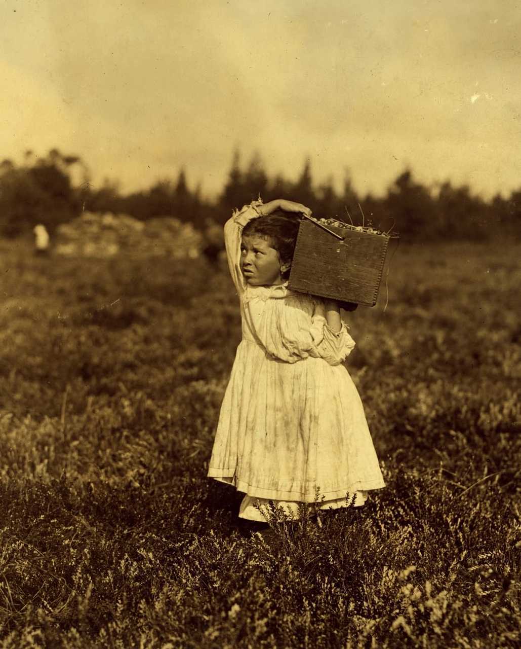 【来自投稿】1890-1905年 世界各国普遍都用童工，他们中很多只有6-12岁