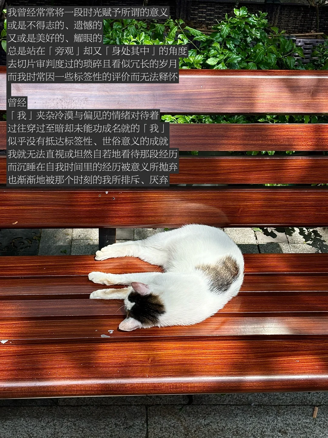 随笔｜无意义地活着 活在为自我而雀跃的人生