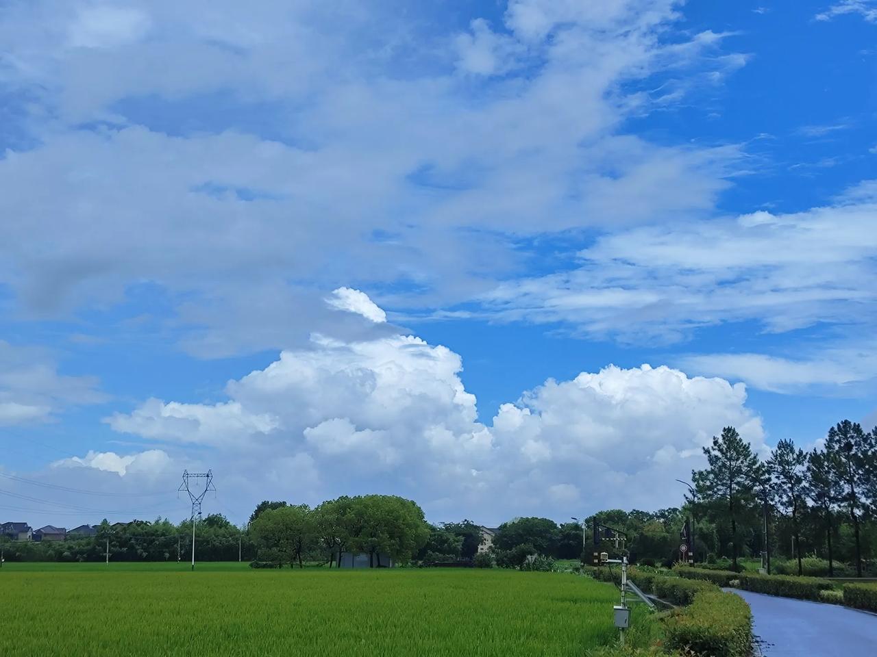 你有多久没有看到过这样的云朵了
这是浙江农村的天空
按理说在经济高度发达的地方