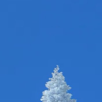 每日一善 阳光信用每日一善 🌞生活的天空不可能永远清澈透明，有风雨也是常事。只