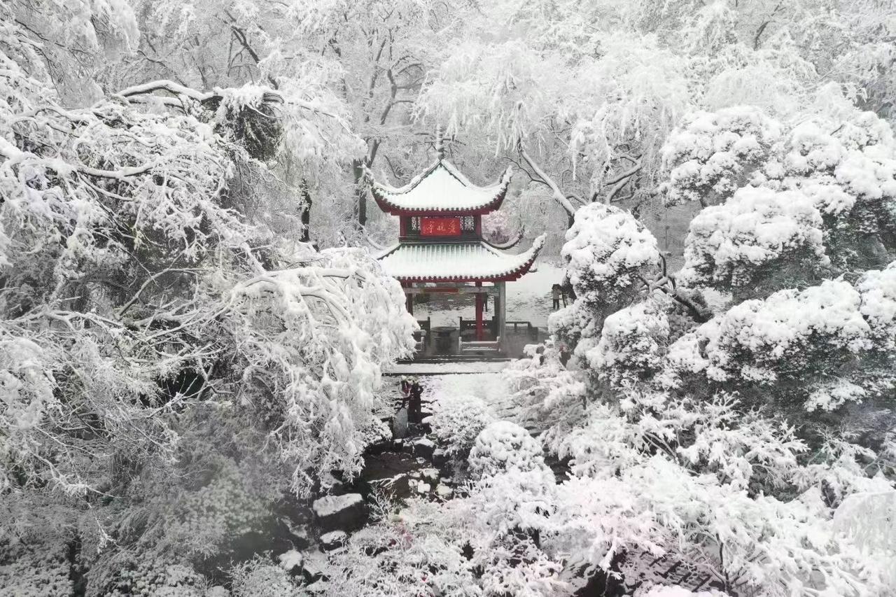 #一场大雪美如画 长沙的雪如期而至。#长沙初雪