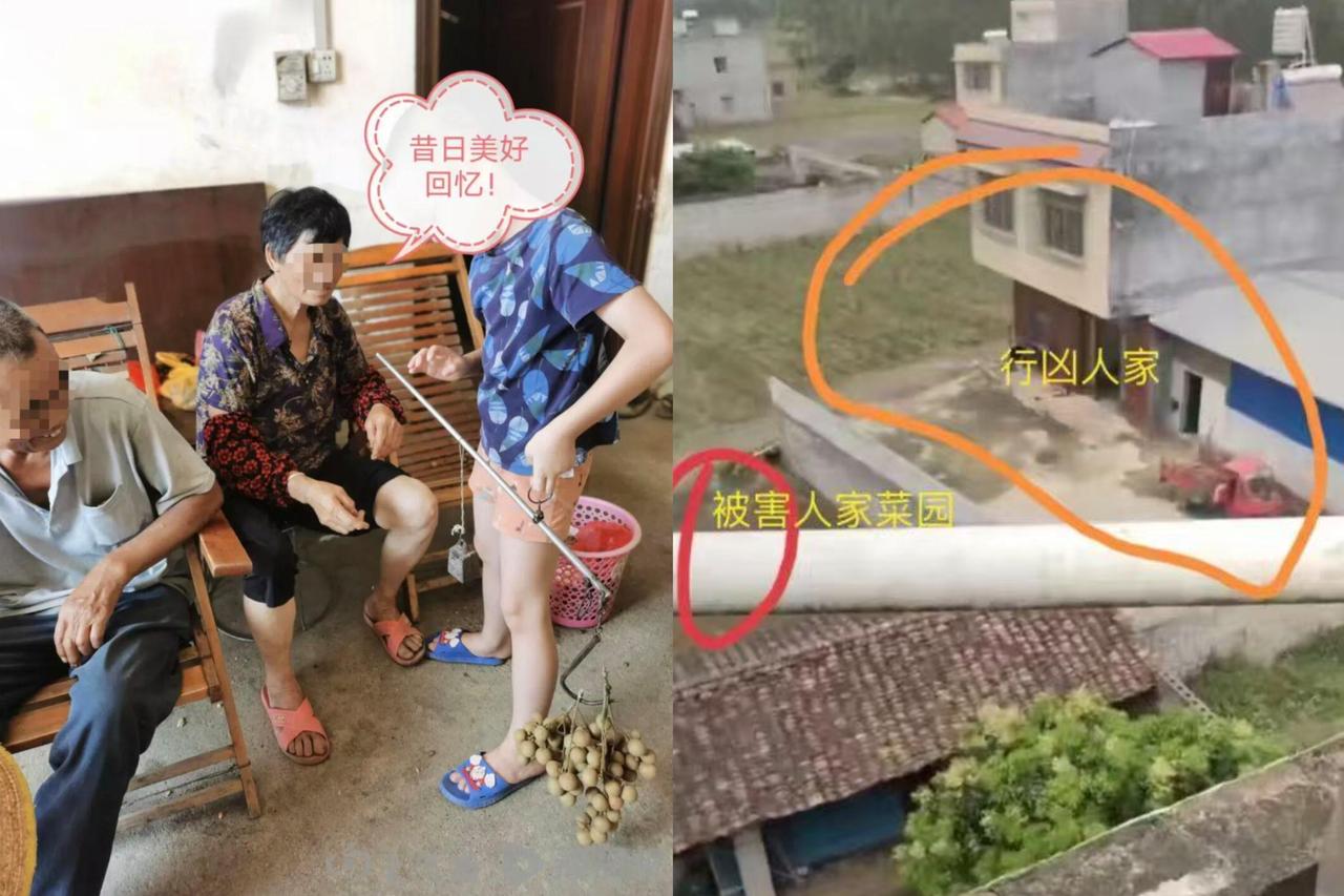 真是离谱他妈给离谱开门，
离谱到家了！
广西一26岁男子因幻想邻居老夫妇在菜地里