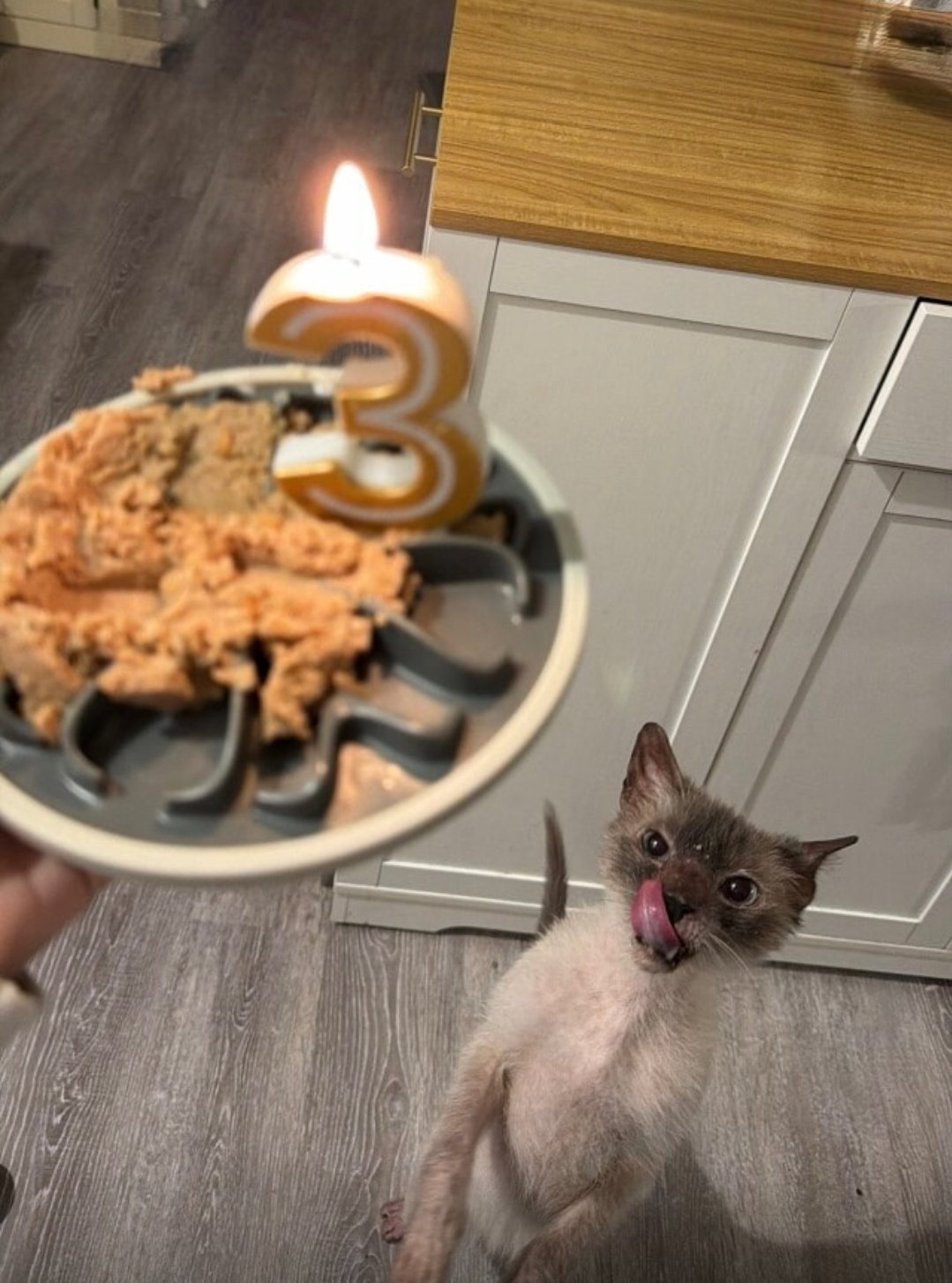 生日快乐 ​​​
