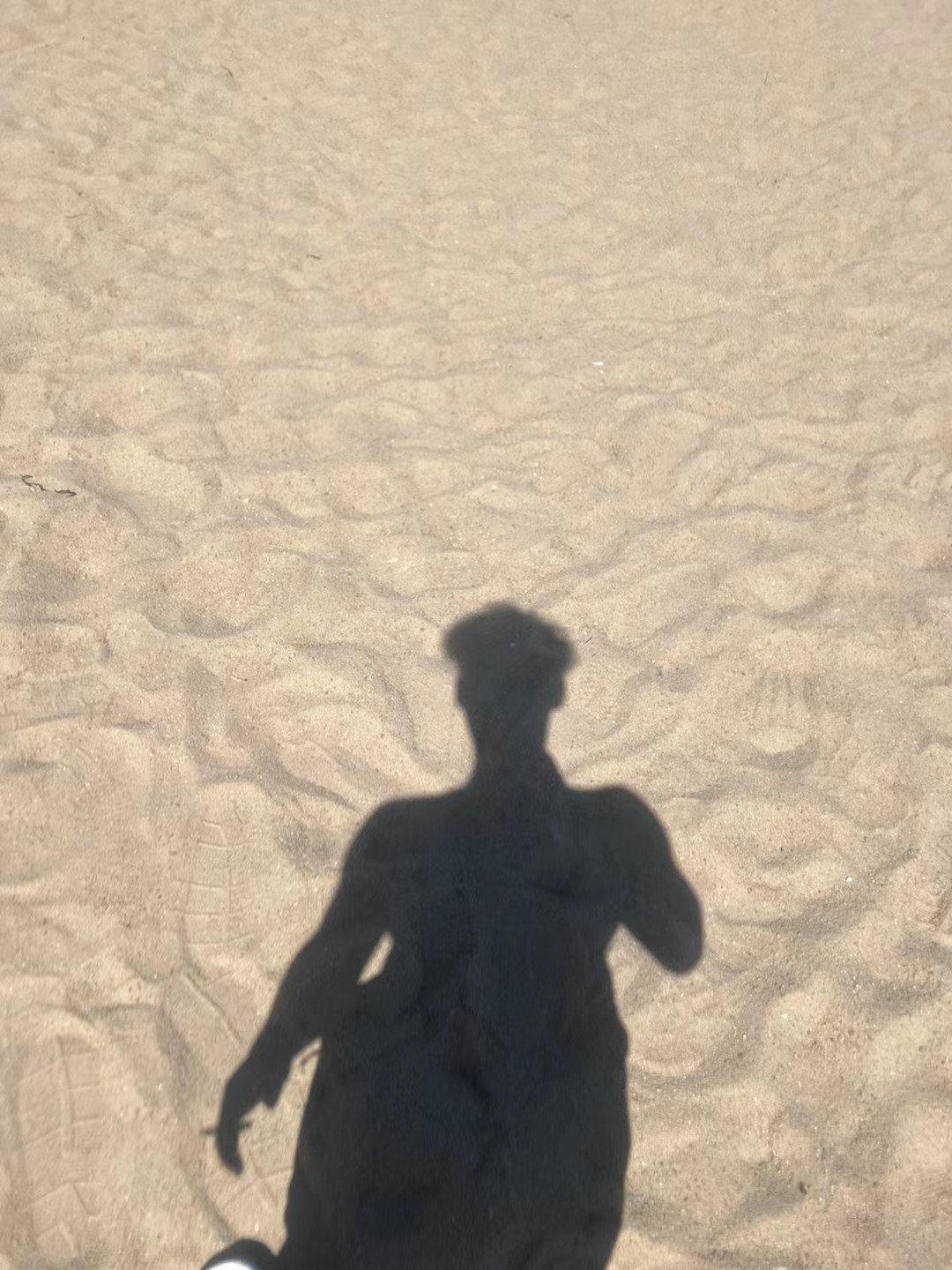 新的一周，第一缕光悄悄爬上窗台，像黄金在通道里轻轻醒来，带着昨夜蓄积的所有力量。