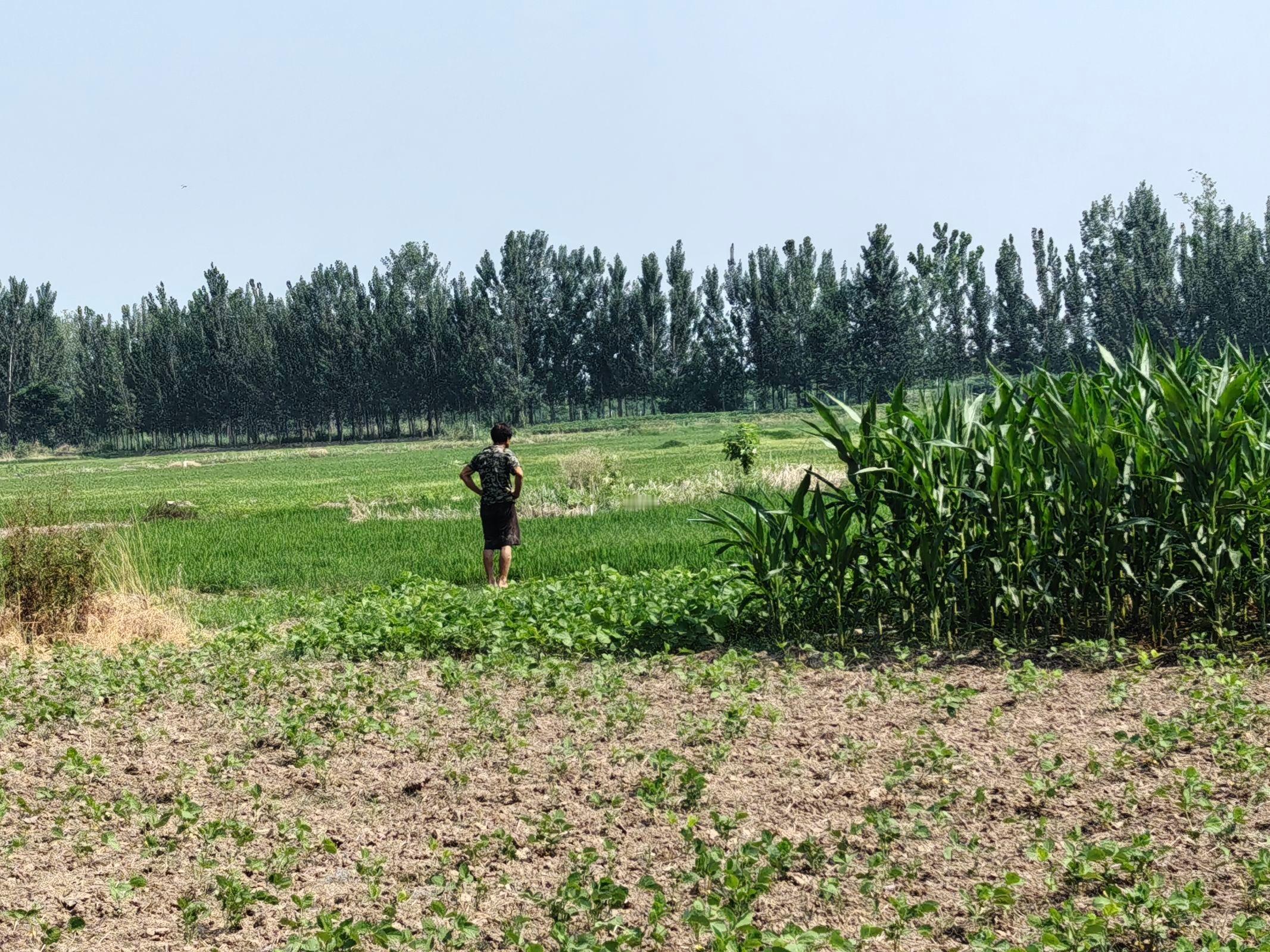秦岭笑谈 【走进章丘田间，调研耕地连片发展困境】 青春三下乡社会实践曲阜师范大学