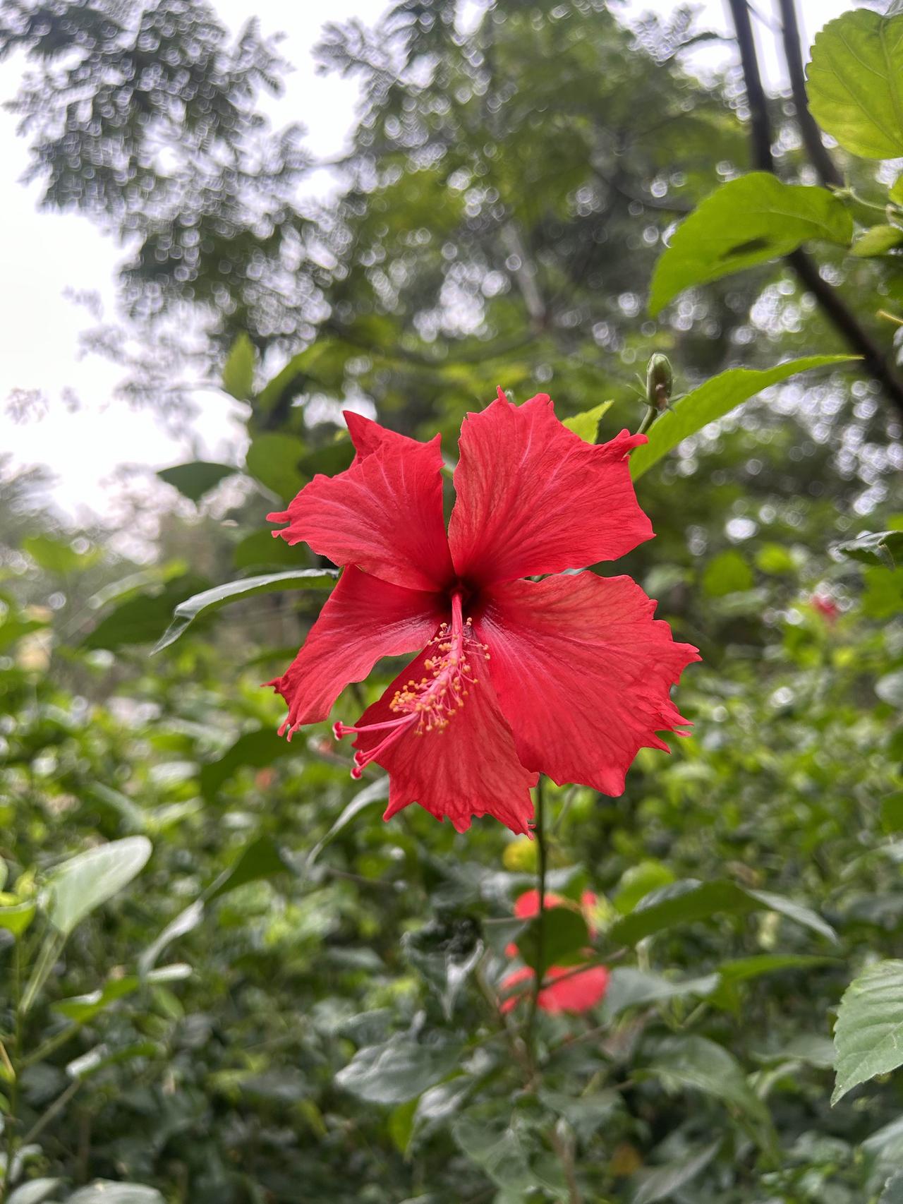 有的人家财万贯却晚景凄凉，
有的人事事顺意却少了真心欢颜却家‮济不餐三人的有
.