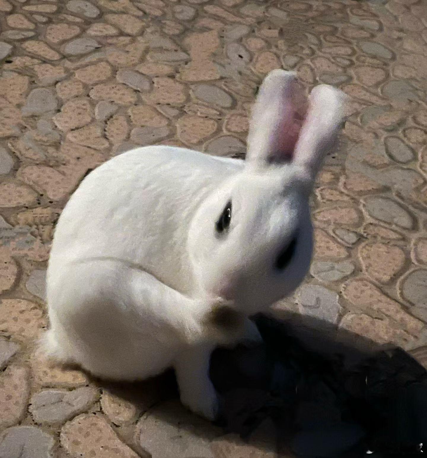 Happy Hour🐇 