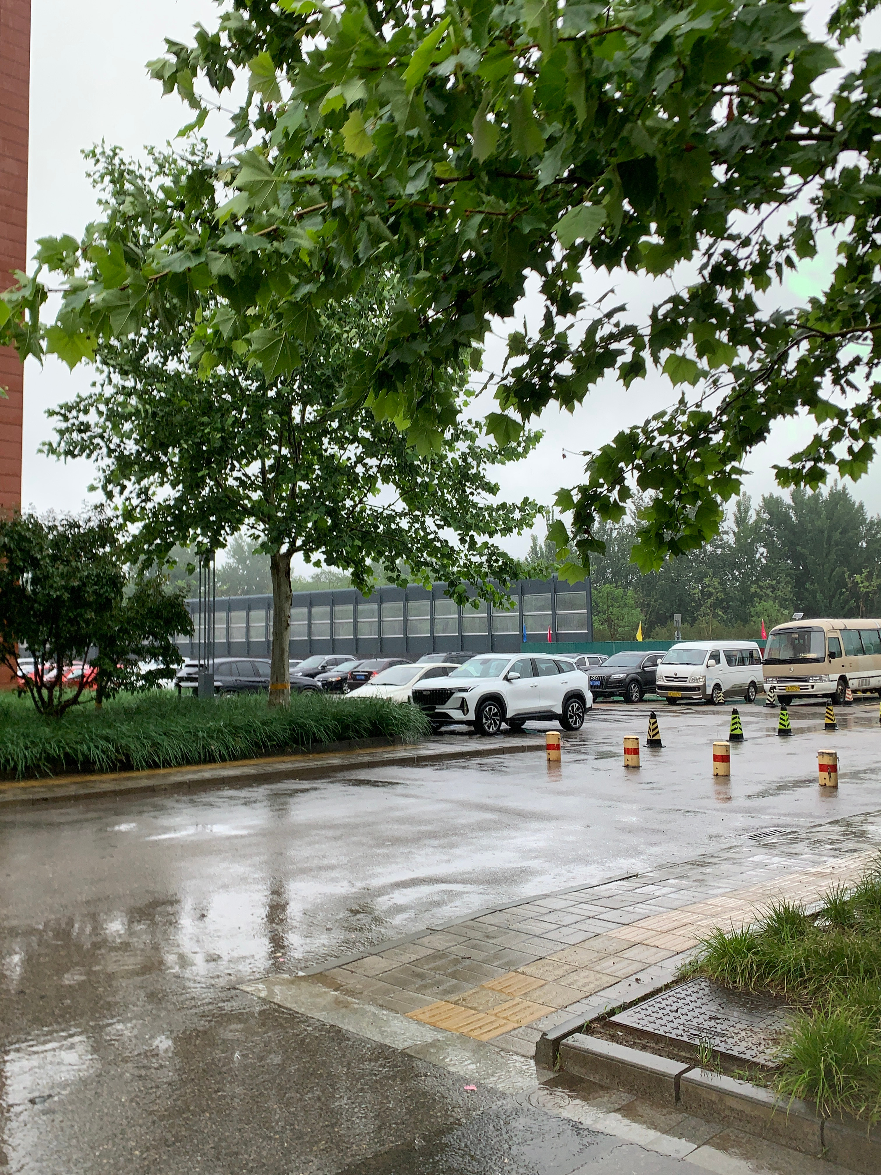 这么好的天气到底为啥要出来上早八 