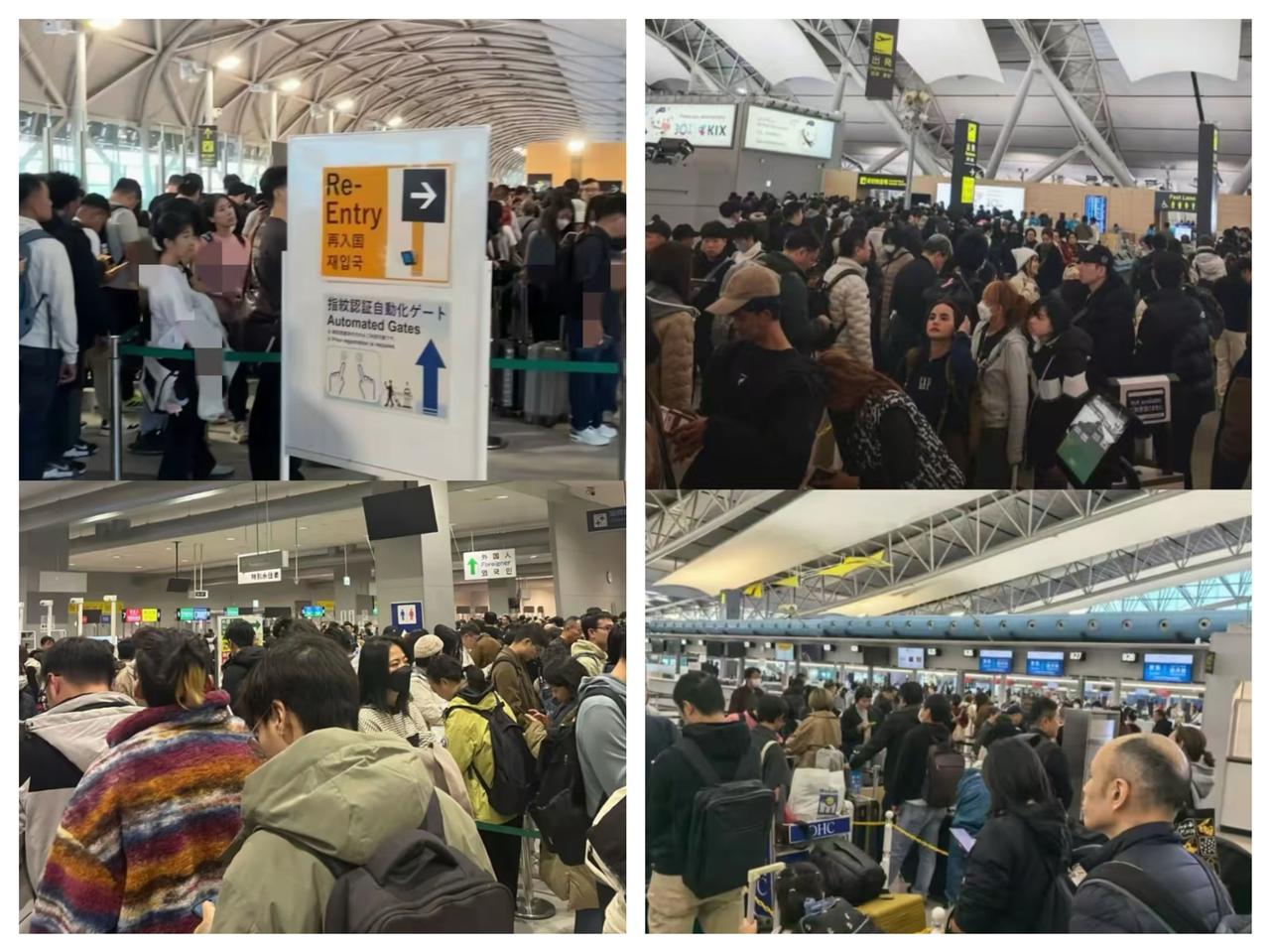 打脸来得太快，
不听劝阻赴日旅游的人，
这下后悔了吧！
  不听国家提醒非要赴日