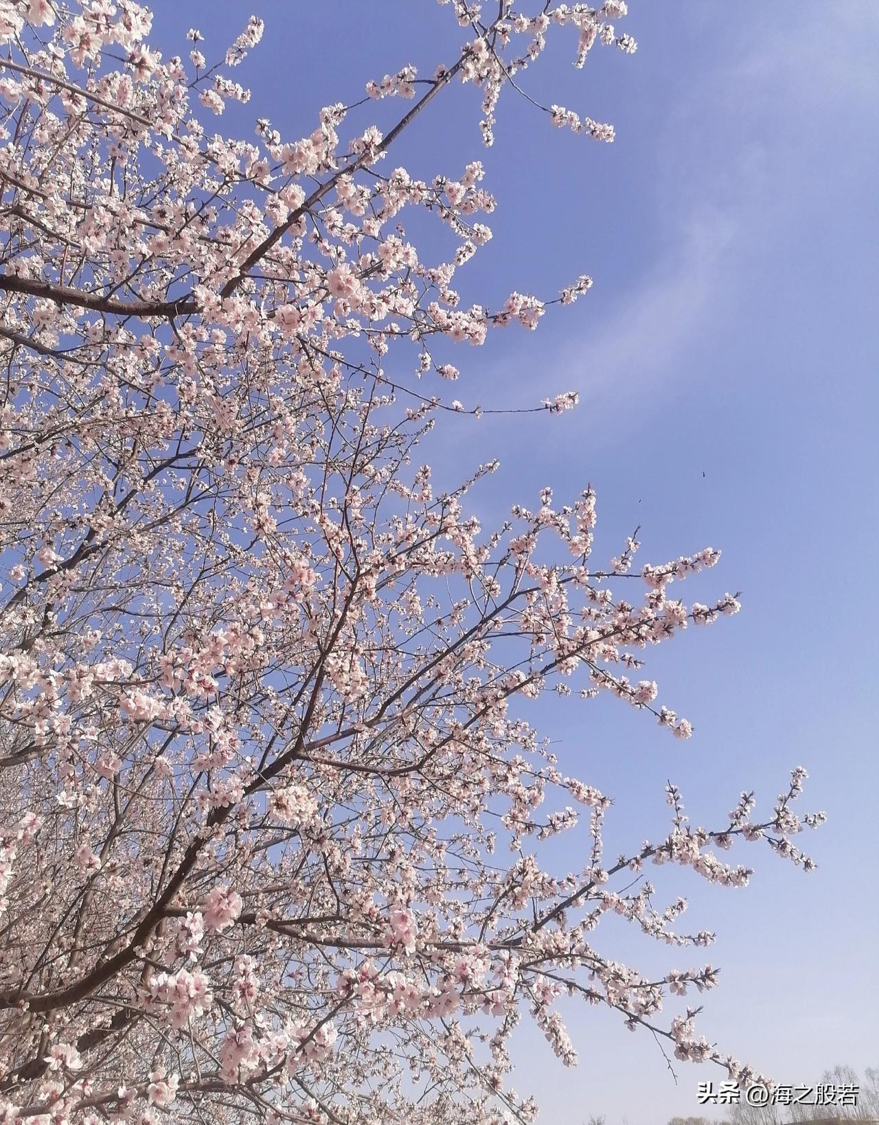天气变化无常，人生也无常。

25日的北京，清晨雾蒙蒙的，不过慢慢就散了，白天晴