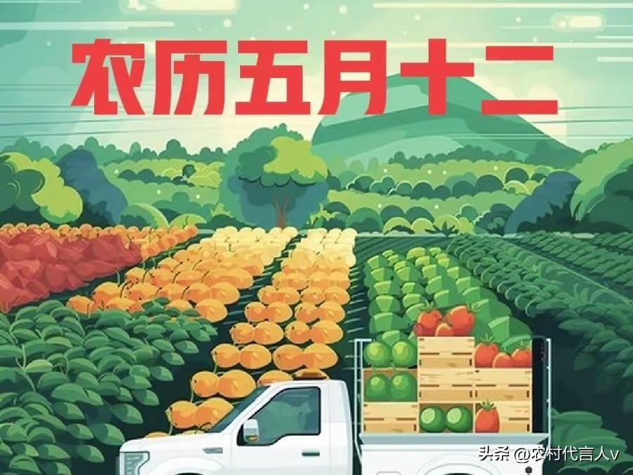 明日五月十二，牢记：1不怒、2多吃、3忌口，护好心脾少病痛
 
农历五月十二，暑