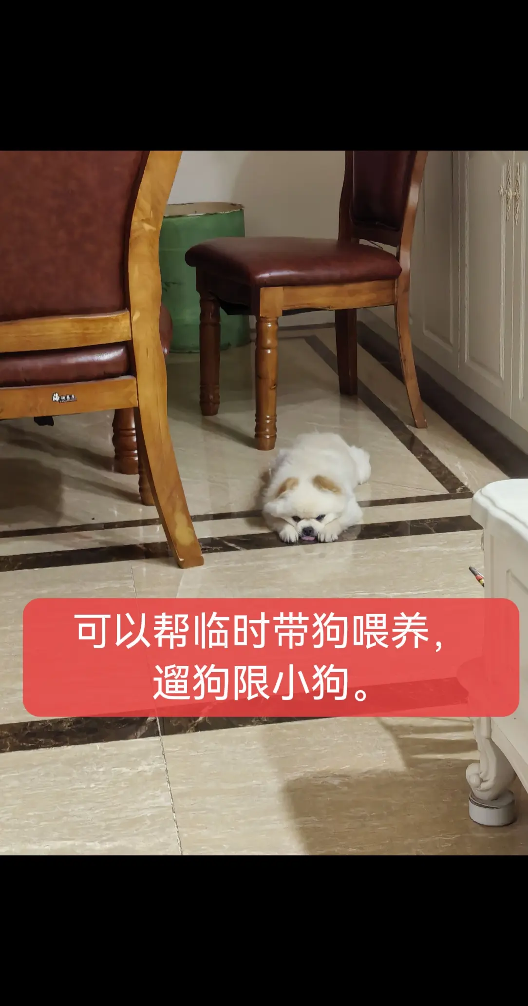 需要的评论区留言，限南京市区。