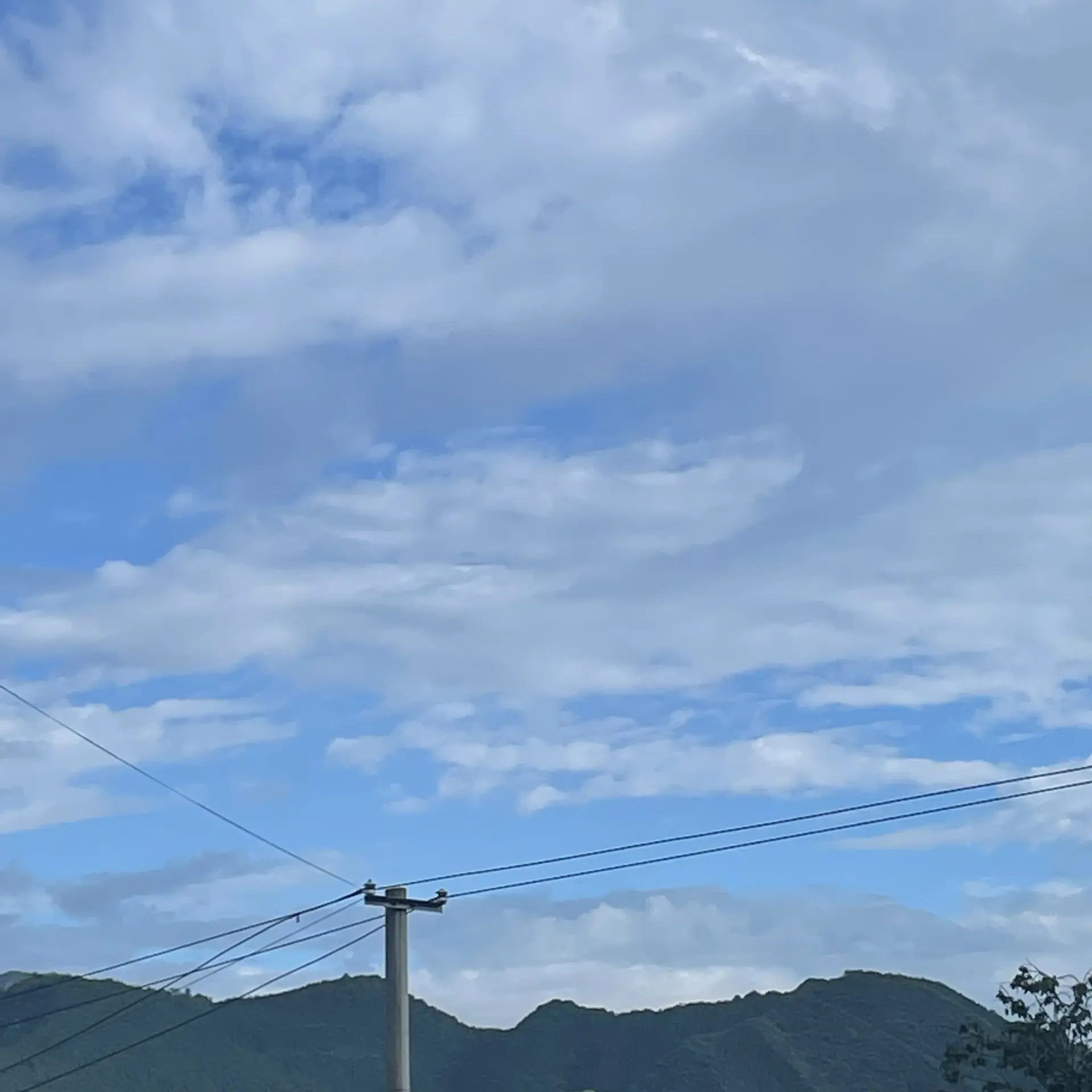《绝迹浪漫》 京圈高干文，清冷美人x温柔绅士，男主喜欢在名利场乱弄风云，从不在意情爱，遇见女主后，开始好奇和心动，搬到女主家楼上，出差给她送礼物，生病时给她喂饭，用温柔打动女主！后来男主才知道，女主大学时就喜欢他，一直偷偷地打听他的爱好，每年他的生日女主都会发来祝福，她的爱意同样炙热长久，不比男主少！男女主的拉扯写得很吸引人，温暖又冒粉红泡泡，两人都在为对方变得更好，很甜的文！！
