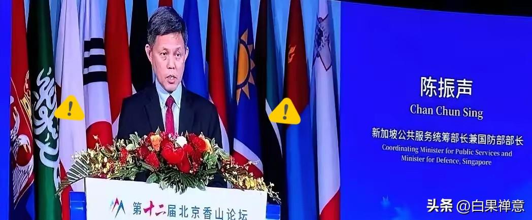 新加坡防长在北京那番话
我听的后背都有点发凉

他说：一个国家一旦沦为代理人或传