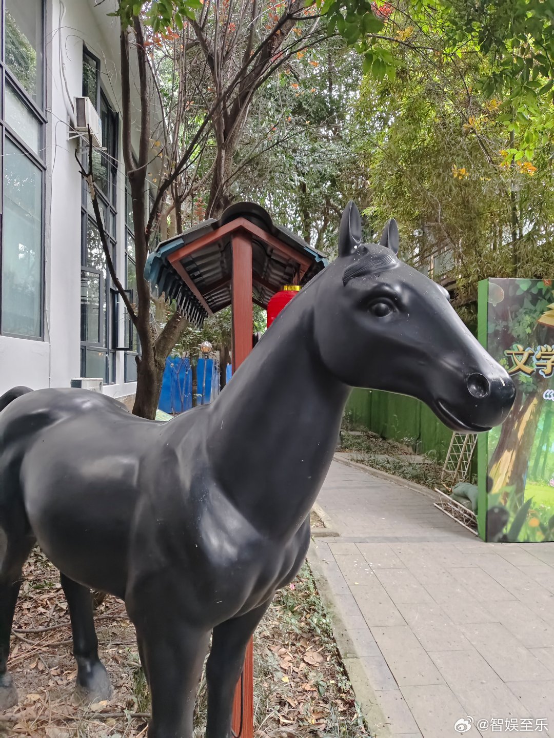 百人能展千面颜，万语可织亿宗书。 