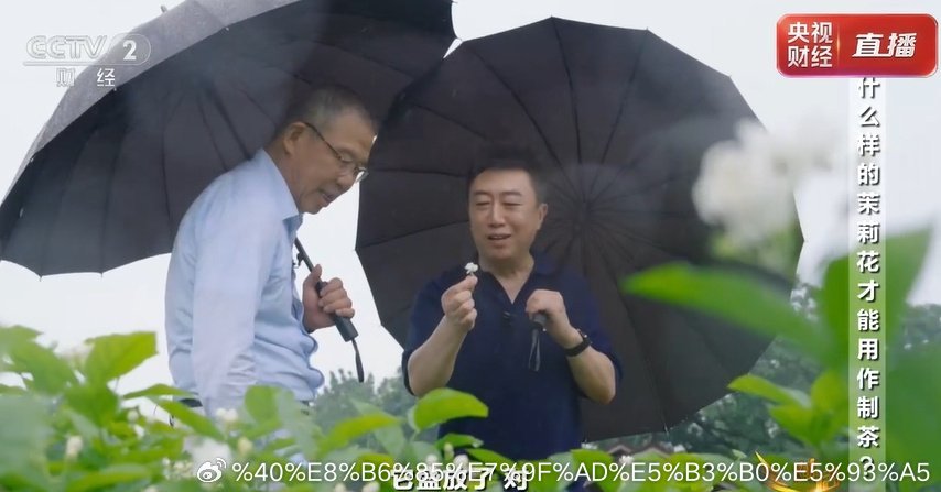 冷知识：全球每10朵茉莉花，就有6朵产自中国。最近看央视对话钟睒睒，聊到本土农业