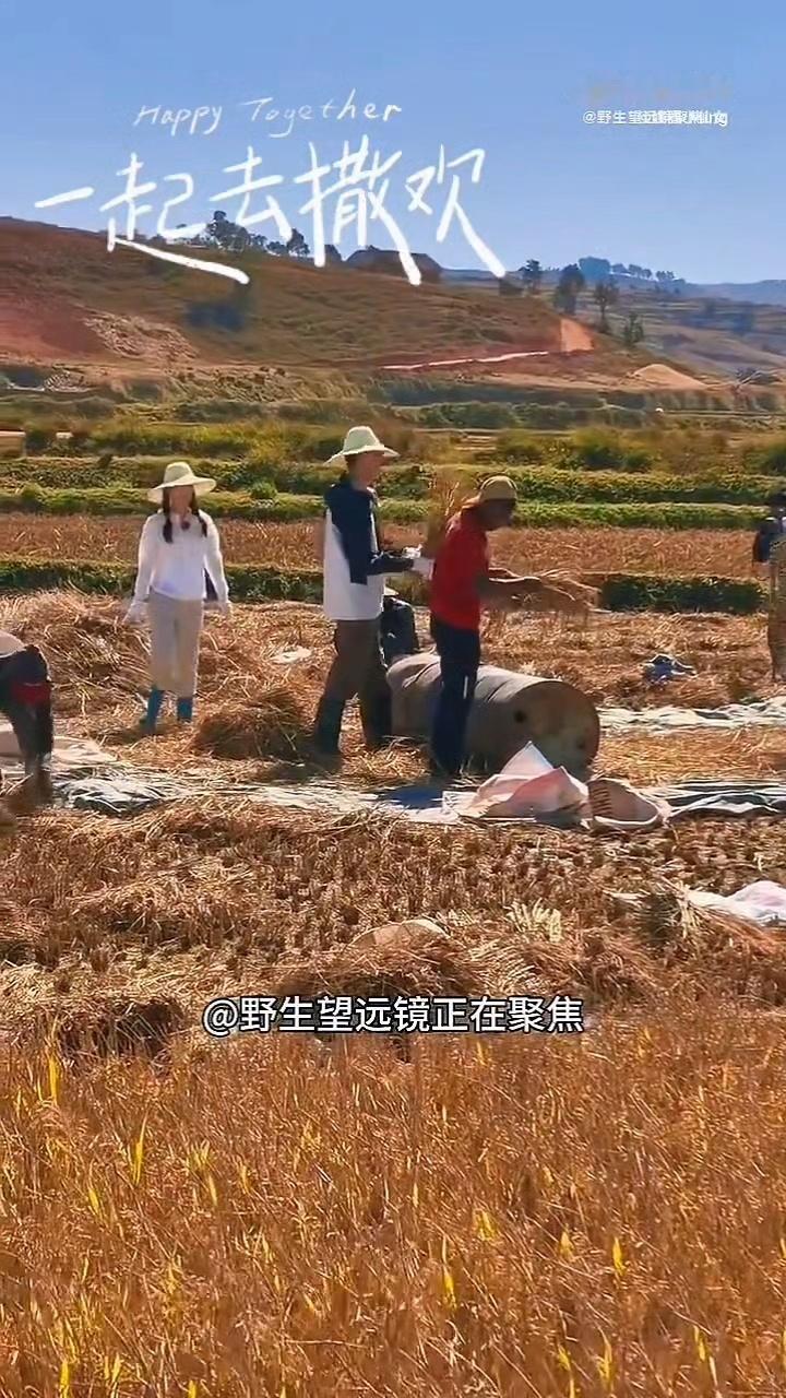 那英说龚俊经纪人够差劲的一直都很喜欢那姐的真实、坦荡，别人不敢说的话她一直都敢说