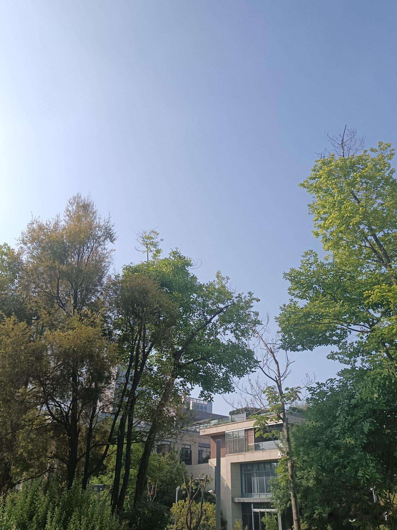 现在的脑子，
真的不太好使了！
今天去幼儿园参观，
只是简单看了一下，
加上孩子