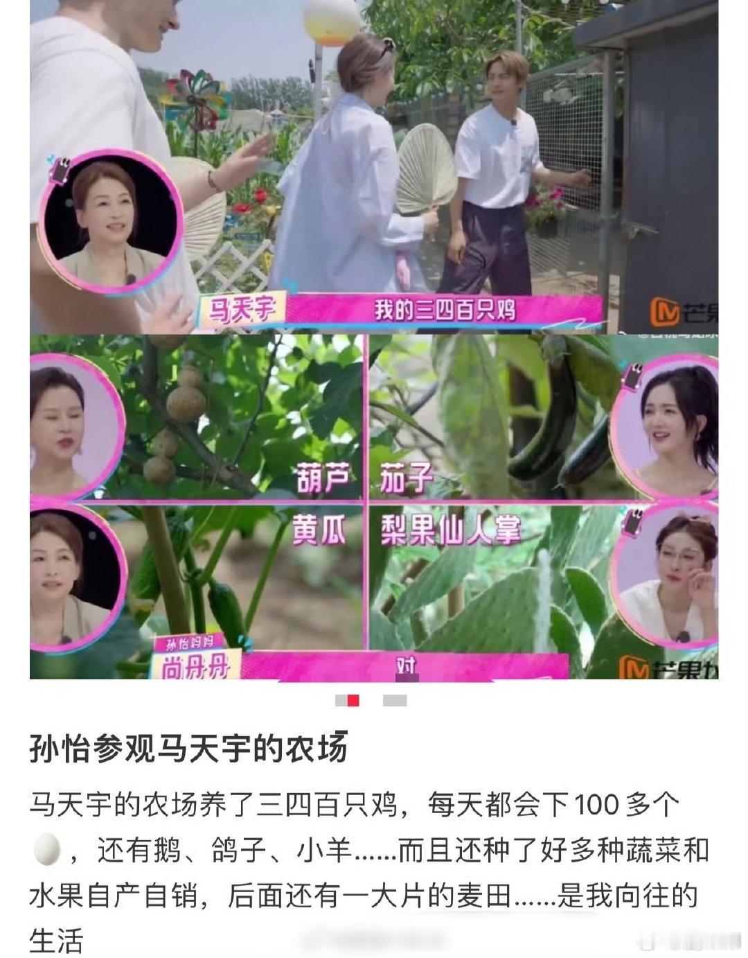 马天宇有一个属于自己的QQ农场马天宇有一个现实版的QQ农场 马天宇养了三四百只鸡