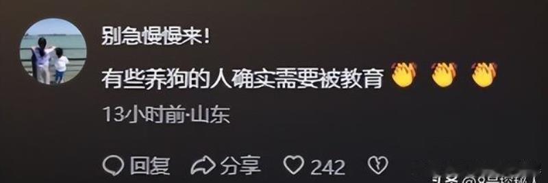 这起“泰迪扑娃”事件，说到底还是遛狗不牵绳惹的祸。虽然狗主人事后狡辩说牵了绳，但