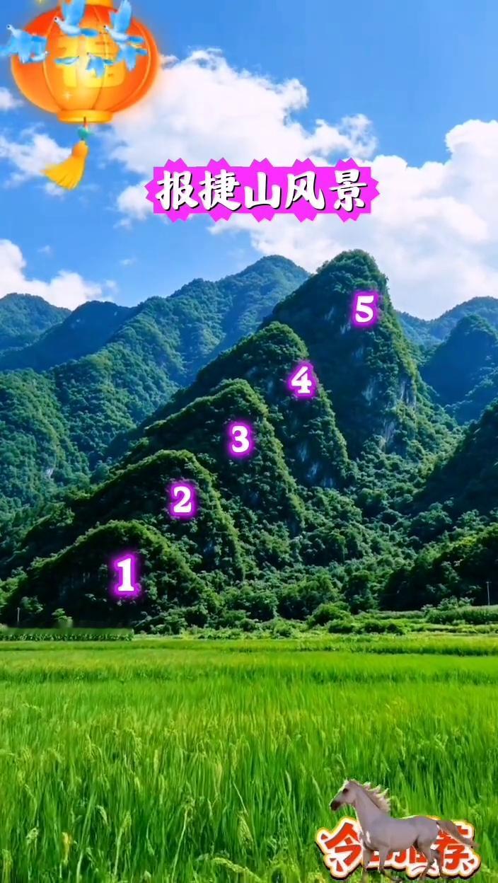 报捷山风景。