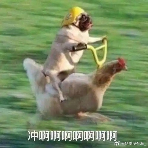 罗永浩曾为追女孩58天减48斤 每天在体院操场跑完25圈，靠着超强毅力减脂，这份