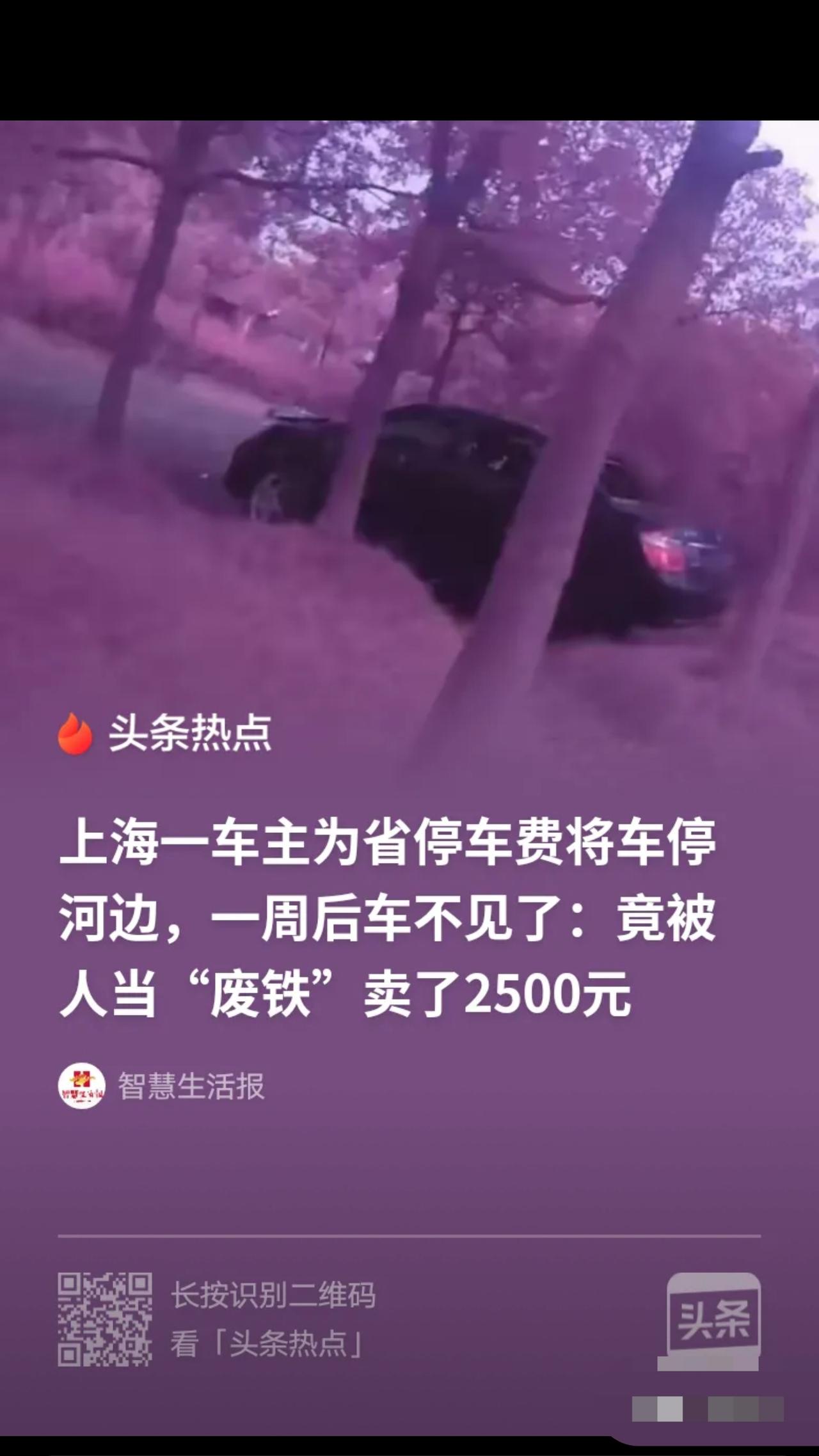 “胆也太大了！”上海，男子为省点停车费，把车停在河边草坪上，一周后，他去取车，发