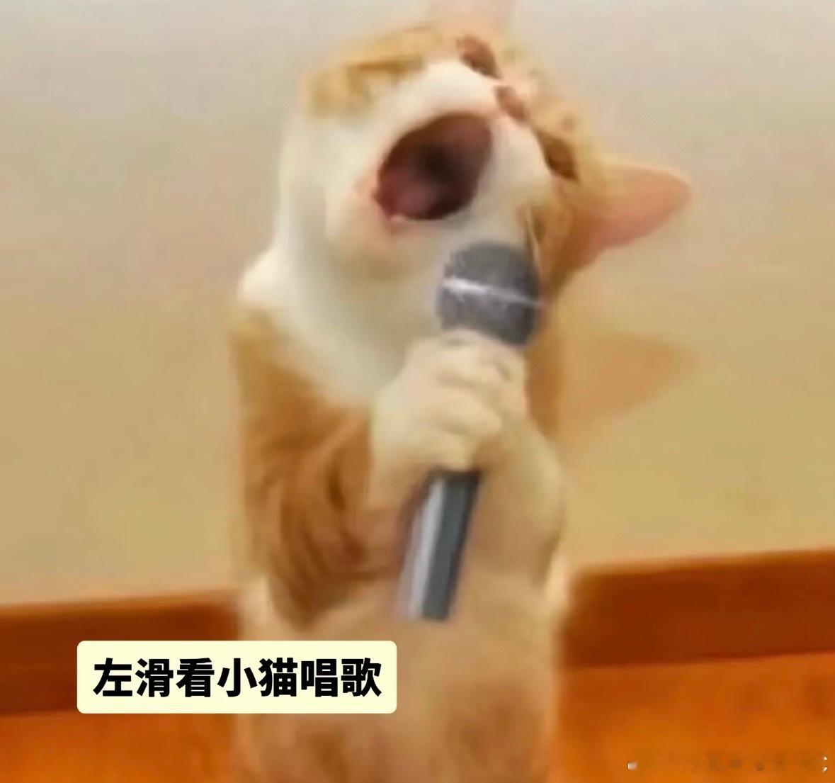 时代峰峻提词器剧本男团大战 时代峰峻篇时代少年团五一演唱会带动消费14亿时代少年