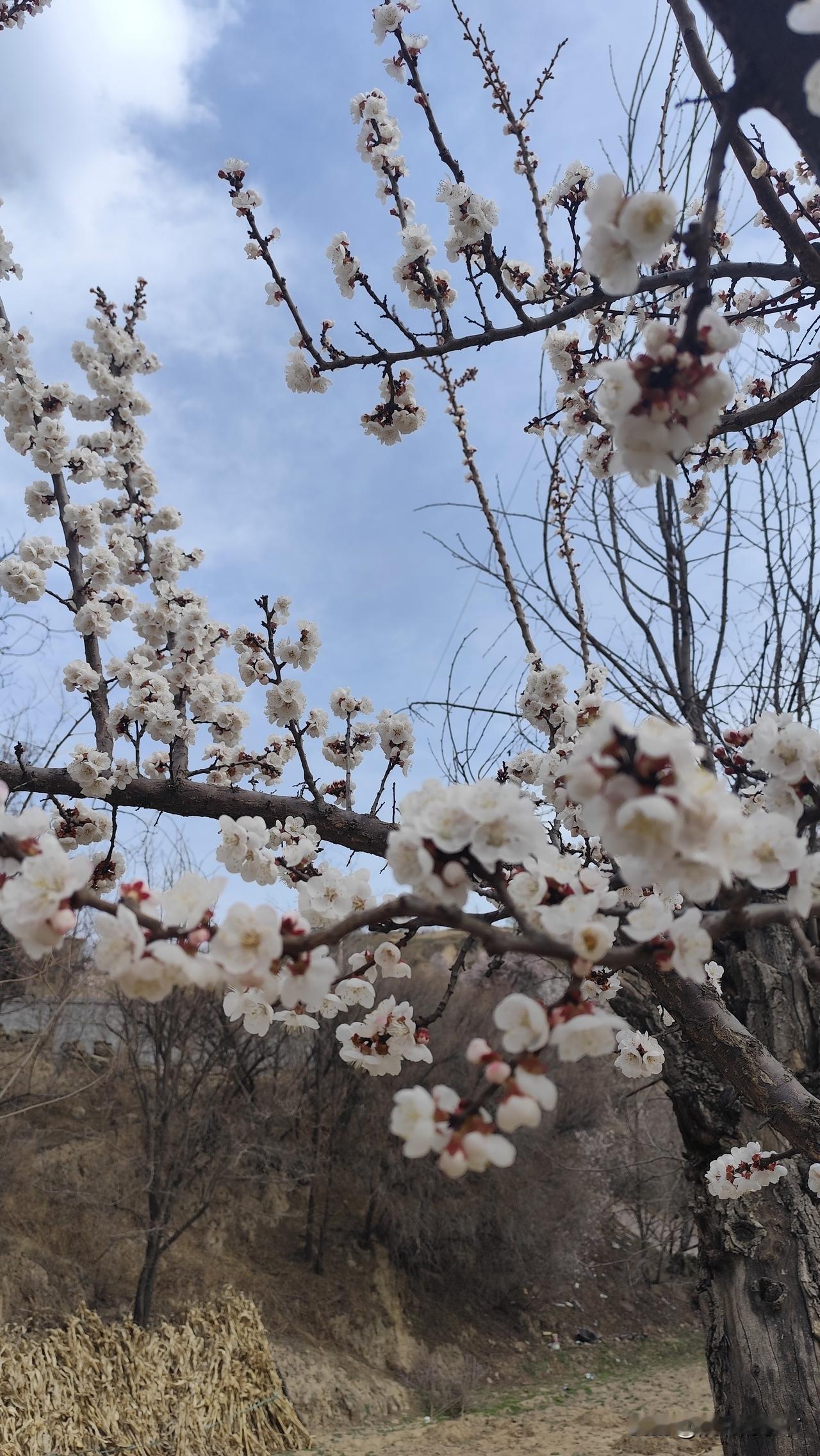 “被迫躺平”也不是我们年轻人的错啊！谁不愿意朝九晚五的上班？谁不愿意周末双休？