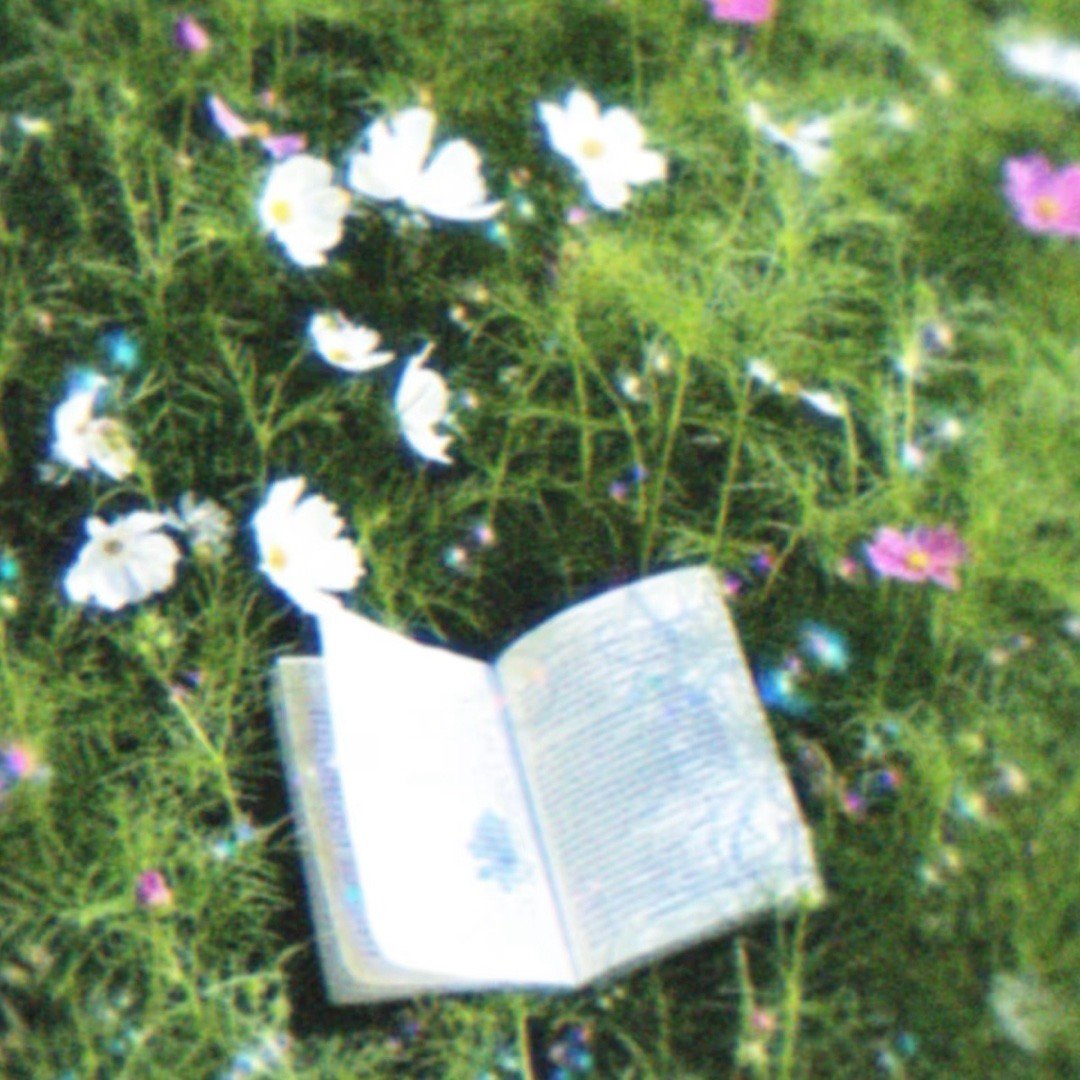 ୨୧ 关于四叶草的水印文案幸運の四叶草🍀⁺♡⁎ 𝐿𝓊𝒸𝓀𝓎 𝒸𝓁
