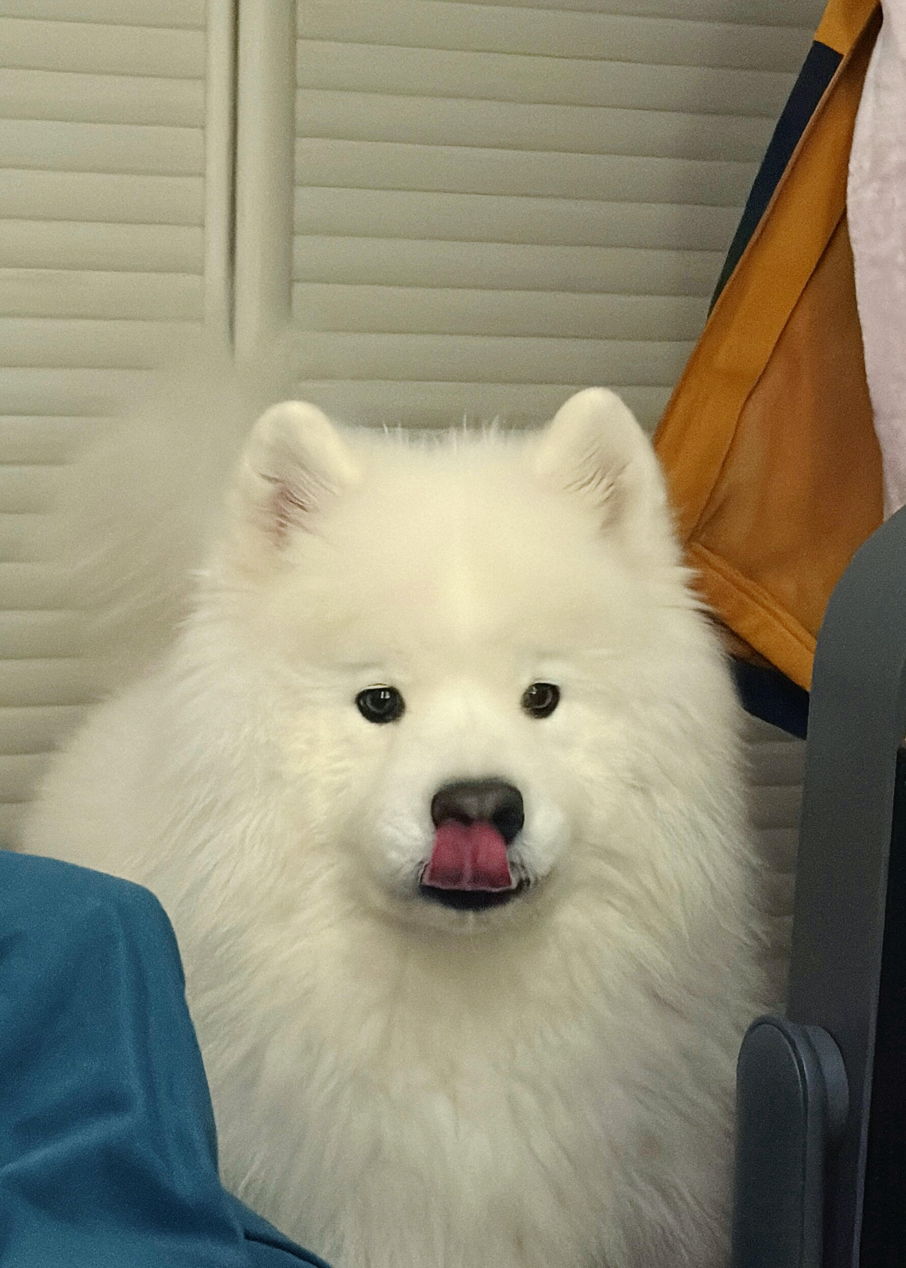 能不能给我吃一口耶🥺 