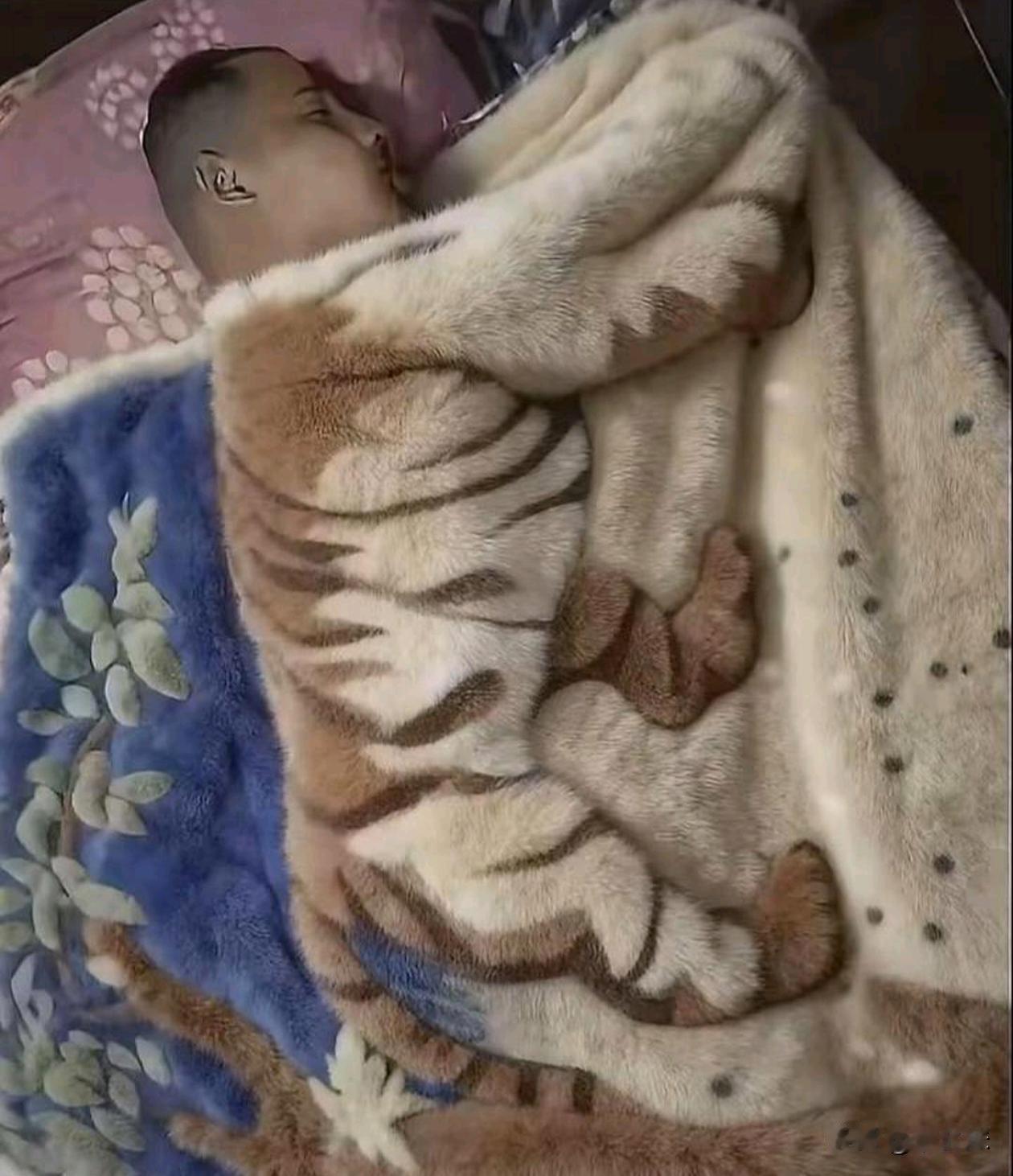 不注意看还真容易认错