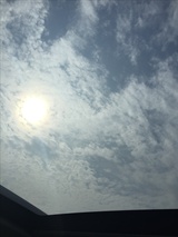 卷热逛体育