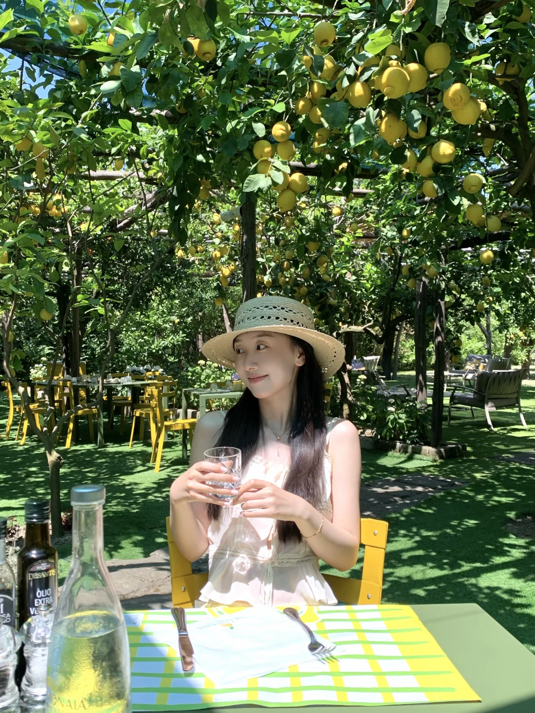 柠檬树下🍋