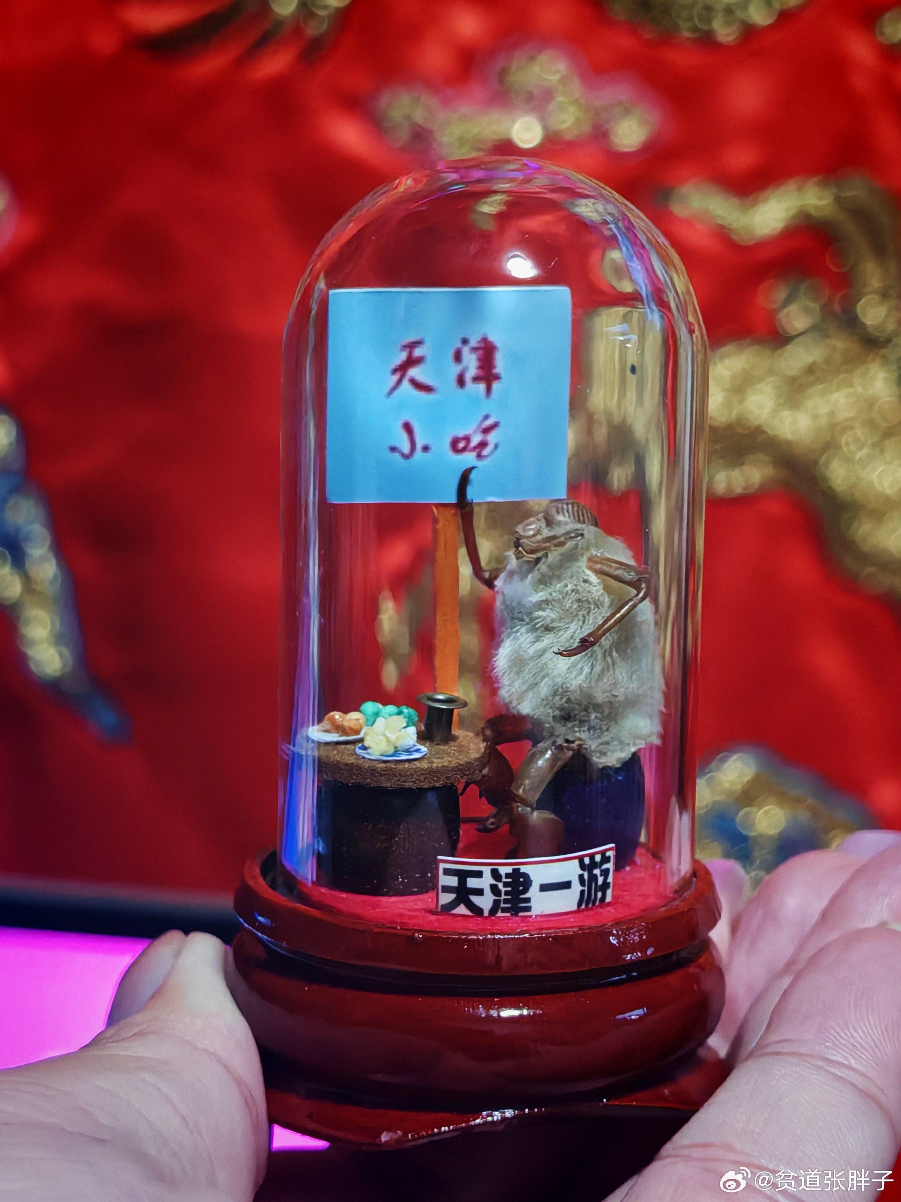 徒弟知道我喜欢天津和知了猴，去天津旅游还给我整了个毛猴