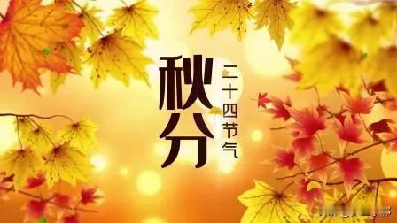明天秋分，白露秋分夜一夜凉一夜，秋分藏着哪些老规矩？
 
明天秋分就要到了，今年