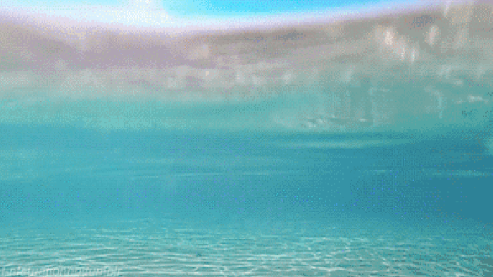 水生财，财为灵。转赞，祝：财运亨通 ​​​