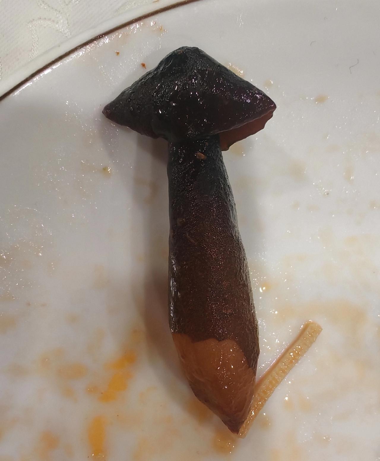吃席遇到的，这是一种什么菇？好像铅笔呀[笑哭]
