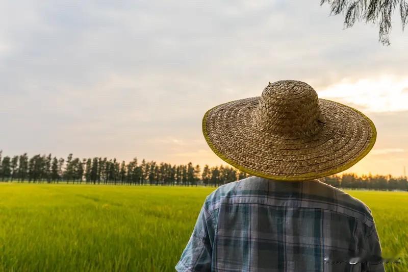 辽宁试点农民职称评定，让种地也能评“教授”

最近，辽宁省一份关于新型职业农民职