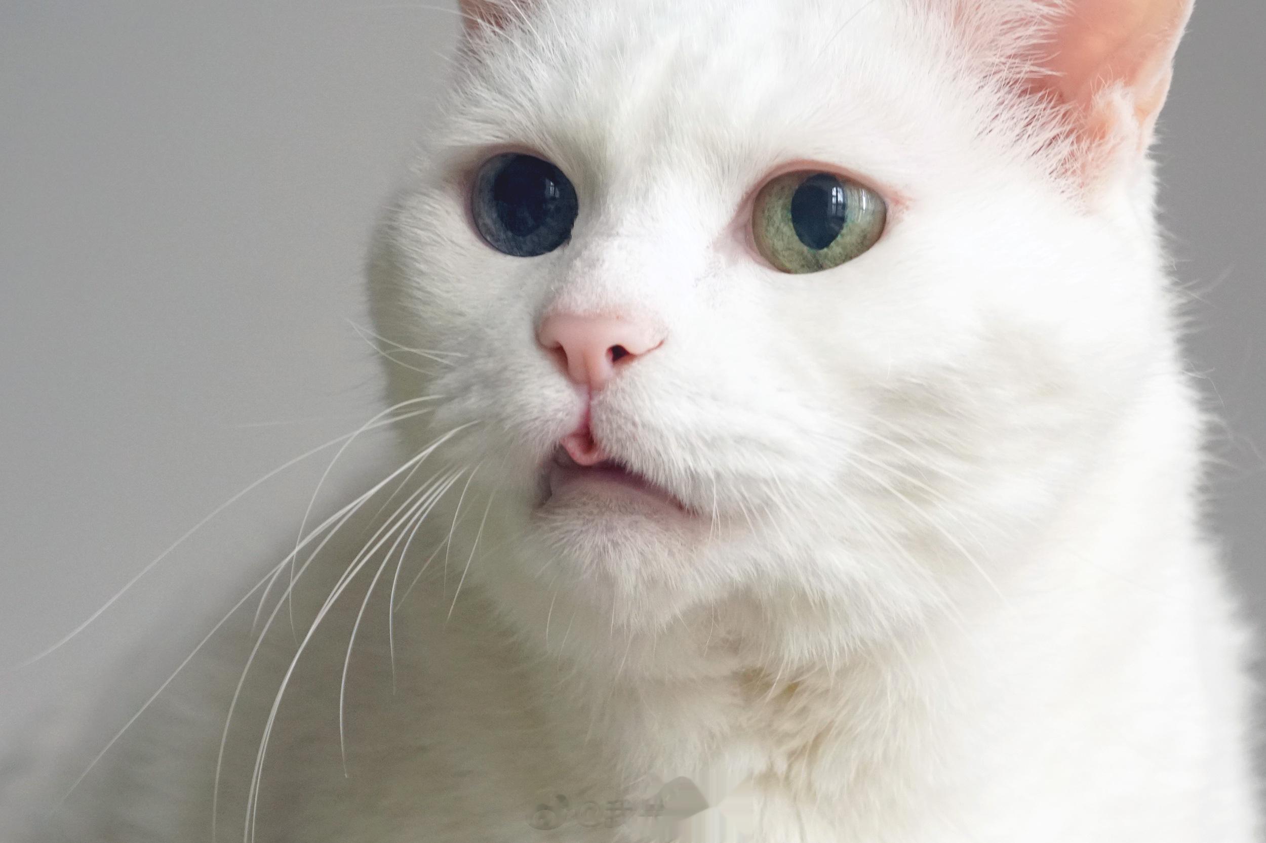 醬可愛不行！！ ​​​