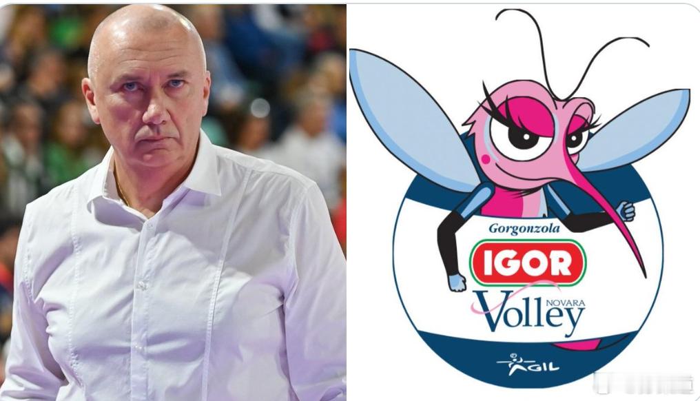 国际排坛动态之前传的，马西莫-巴博里尼与加拉塔萨雷提前解约后将去LOVB洛杉矶队