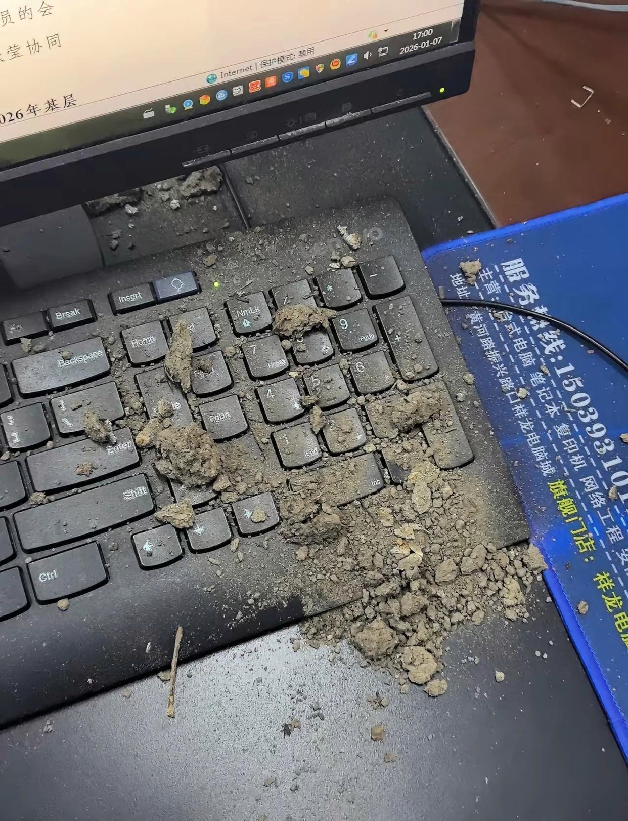 你们在单位捅的最大的笼子是啥，能不能都说说！