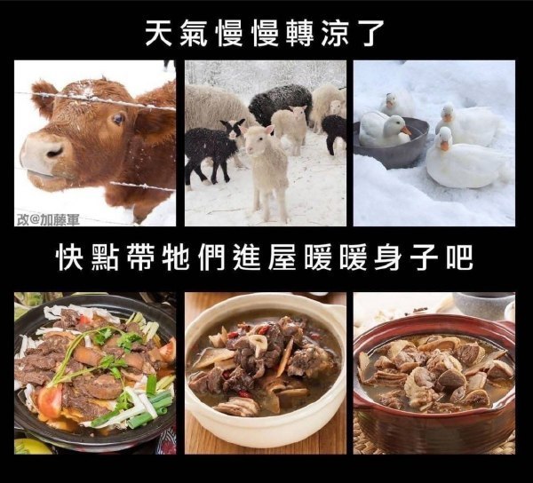 明天吃火锅吧，补一补 