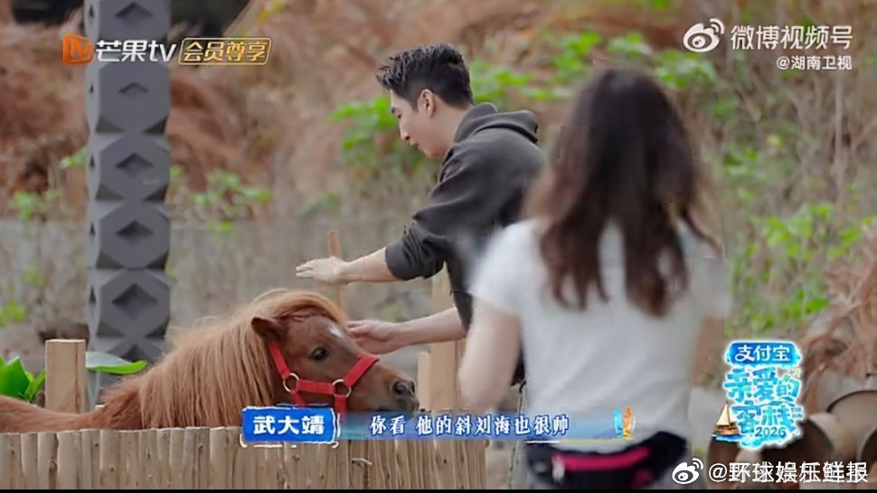 没睡醒的全红婵被迫营业张家齐叫全红婵宝宝亲爱的客栈谁被甜到了！客栈遇新鲜事秒ca