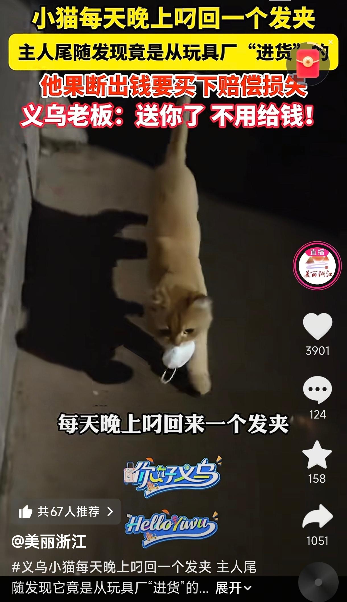 “离谱又可爱！”独居男子家里莫名多出儿童发卡，一开始他只以为是偶然落下的小东西。