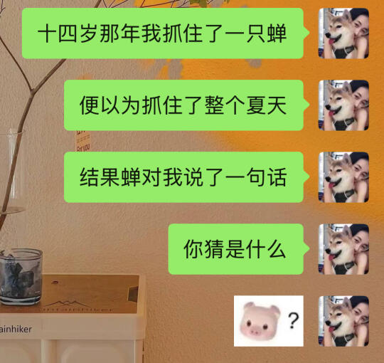 这个贱我必须犯